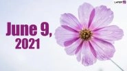 June 9, 2021: Which Day Is Today? Know Holidays, Festivals and Events Falling on Today&rsquo;s Calendar Date
