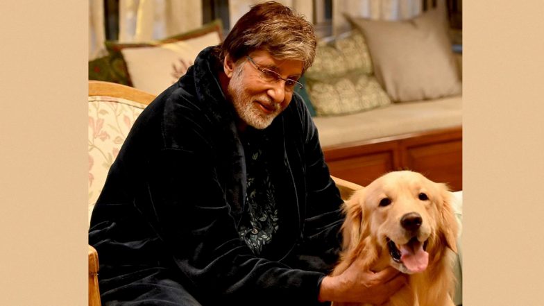 Amitabh Bachchan Has the Cutest Co-star on Shoot Today, Shares a Post With His ‘Pawdorable’ Buddy (View Pic)