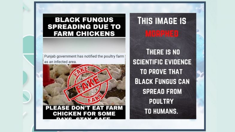 Black Fungus Can Spread Through Chickens to Humans? PIB Fact Check Debunks Fake News