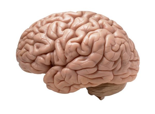 Scientists Indentify New Drug That Halts Recurring Brain Tumour Growth
