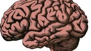 Health News | World Brain Tumour Day 2021: Here's How COVID Affects the Brain