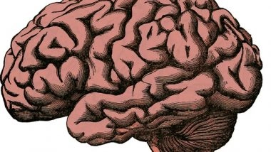 Health News | World Brain Tumour Day 2021: Here's How COVID Affects the Brain