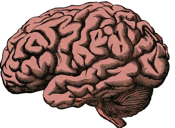 Health News | World Brain Tumour Day 2021: Here's How COVID Affects the Brain