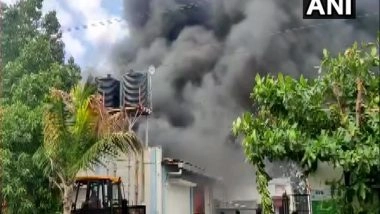 India News | 12 Killed, 5 Missing in Fire at Pune Company