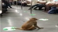 India News | Video Shows Monkey Hitching a Ride Inside Train on Delhi Metro!