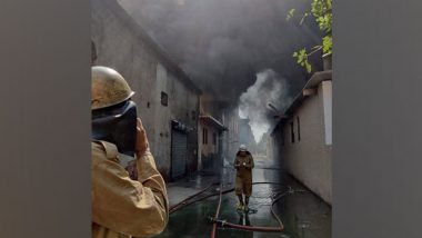 Delhi: Fire Breaks Out at Shoe Factory in Udyog Nagar