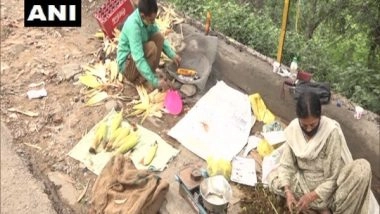 India News | Elderly Widow in J-K's Udhampur Sells Corn, Fiddlehead Ferns to Support Family Amid COVID Pandemic