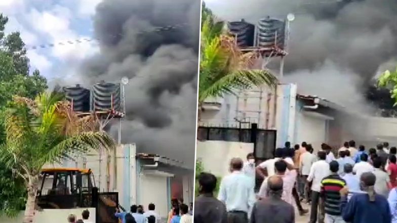 Maharashtra: 12 Dead and Around 10 Missing as Massive Fire Breaks Out in Company in Ghotawade Phata, Pune