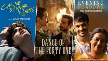 Pride Month 2021: Call Me by Your Name, Dance of the 41, Evening Shadows – 5 LGBTQ+ Films To Watch on Netflix India!