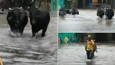 Mumbai Rains: Malad Subway Waterlogged Following Heavy Rainfall in the City (Watch Video)