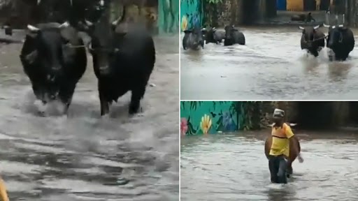 Mumbai Rains: Malad Subway Waterlogged Following Heavy Rainfall in the City (Watch Video)