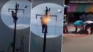 Gujarat: Man Electrocuted Trying To Save Pigeon, Entangled in Power Lines, in Aravalli District (Watch Video)