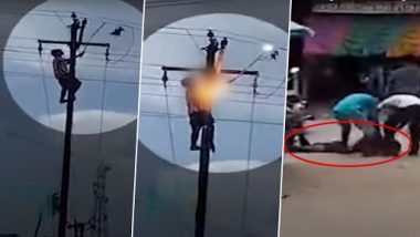 Gujarat: Man Electrocuted Trying To Save Pigeon, Entangled in Power Lines, in Aravalli District (Watch Video)