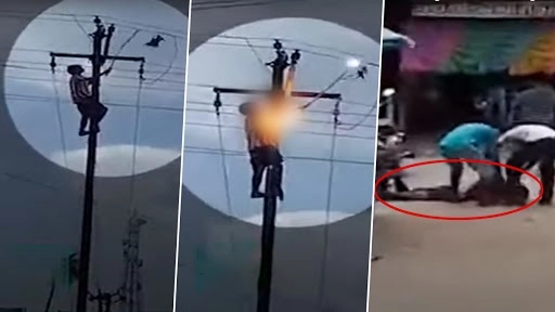 Gujarat: Man Electrocuted Trying To Save Pigeon (Watch Video)