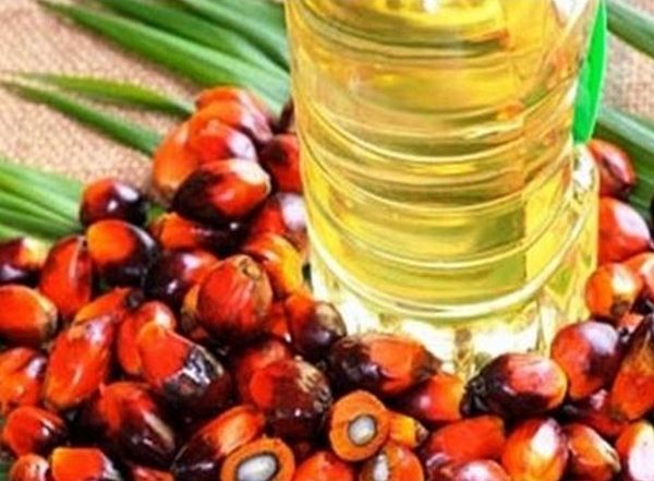 Centre Cuts Import Duty on Refined Palm Oil to 12.5% Till March 2022 To Bring Down Edible Oil Rates in Indian Markets