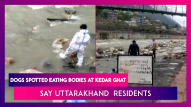 Uttarakhand: Dogs Spotted Eating Bodies At Kedar Ghat, Say Residents