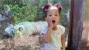 Serena Williams&rsquo; Daughter Alexis Olympia Ohanian Jr. Awestruck Seeing a White Tiger (View Photo)