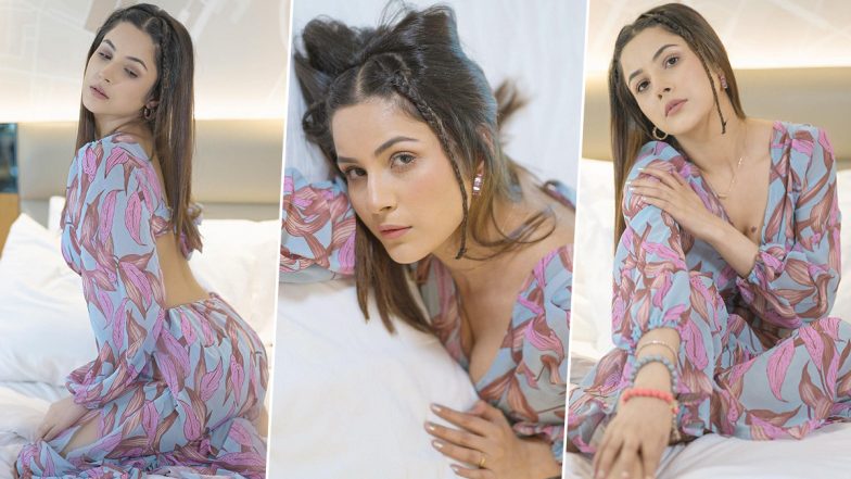 Shehnaaz Gill Looks Drop-Dead Gorgeous in a Stunning Plunging Neckline Printed Dress; See Latest Pics