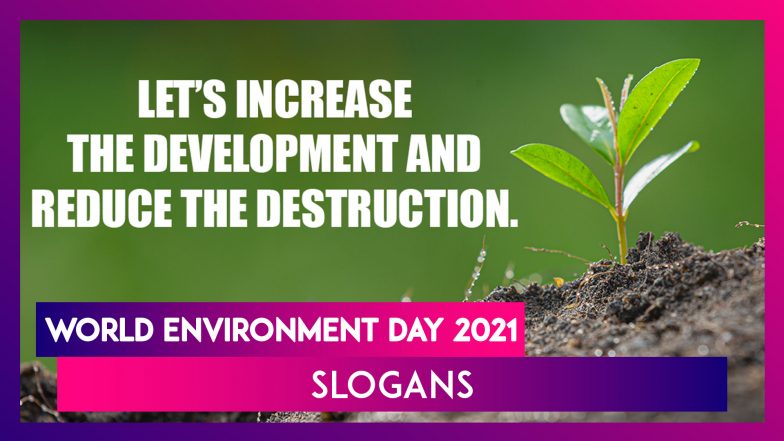 World Environment Day 2021: Best Slogans and Inspirational Thoughts To ...