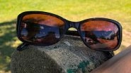 National Sunglasses Day 2021: Twitterati Share Best Quotes, Greetings, Messages, GIFs, HD Images and Wallpapers on Twitter to Highlight the Importance of Wearing Sunglasses