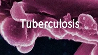 Health News | Studies Throw Light on How TB Destroys Lungs and How to Protect Them