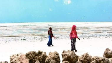 Business News | Global Economy Can Lose $4 Trillion Due to Covid-19 Impact on Tourism: UNCTAD