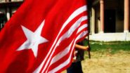 World News | UKPNP Strongly Condemns Killing of PoK Activist