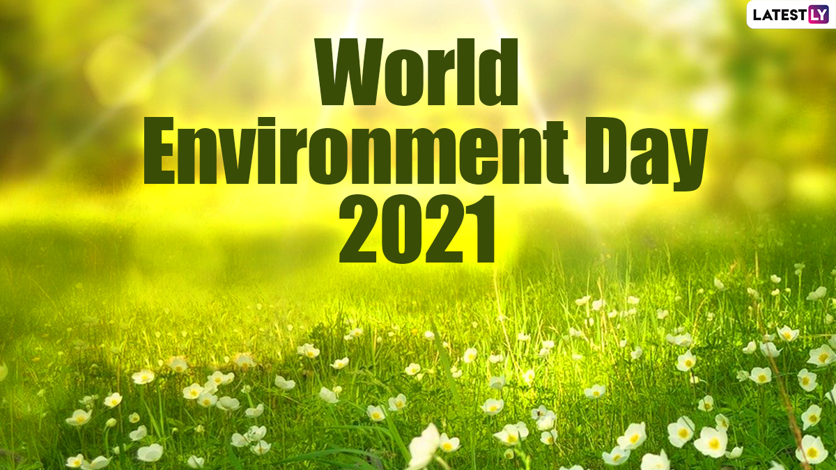 World Environment Day 2021: Quotes To Inspire Us All To Stop ...