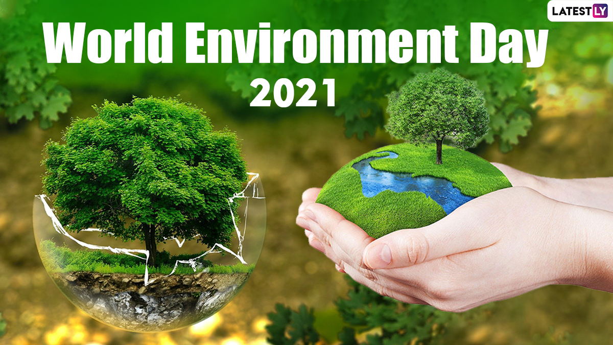 World Environment Day 2021 Quotes With HD Images: Send These Beautiful Sayings to Your Loved Ones on the Day Dedicated to Mother Nature
