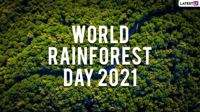 World Rainforest Day 2021: Know Date, Theme, History and Significance of Observing the Special Day for the Precious Natural Resource