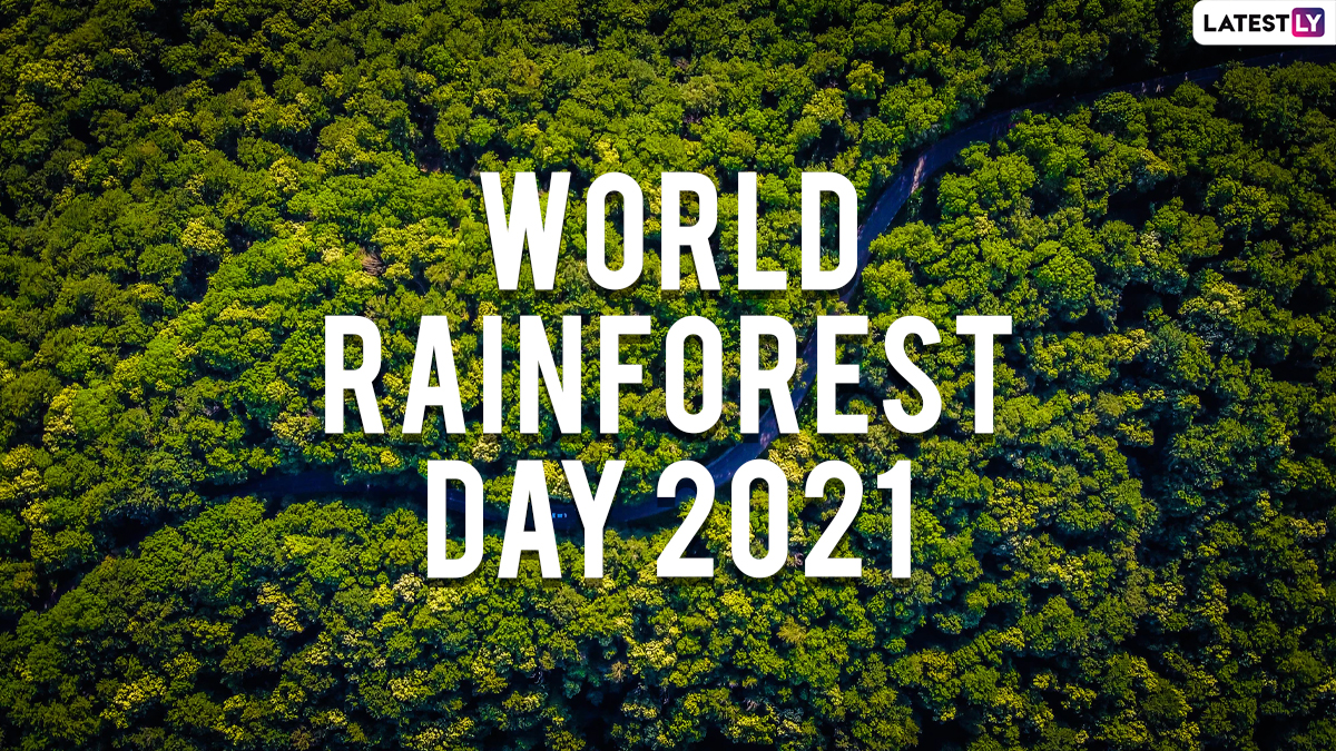 Festivals & Events News | World Rainforest Day 2021: Know Date, Theme ...