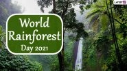 World Rainforest Day 2021: Know Interesting Facts About Ecological Powerhouses That's Home of Half of World&rsquo;s Plant and Animal Species