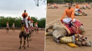 International Yoga Day 2021: BSF Personnel Perform Yoga Asanas on Camels; Urmila Matondkar Calls It 'Cruel'