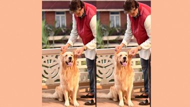 Meet Amitabh Bachchan’s Cute Little Co-Star the Actor Introduces Via Instagram (See Pic)