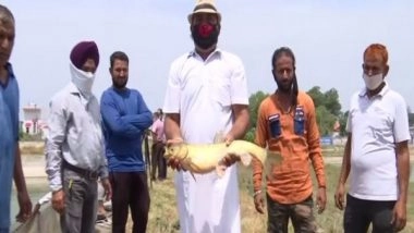 India News | J-K: Pradhan Mantri Matsya Sampada Yojana Helps Jammu Farmers Boost Their Income