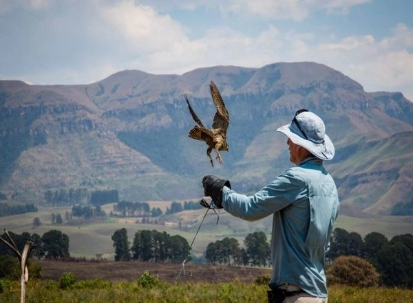 Lifestyle News | Study Suggests More 'fairness' Required in Conservation