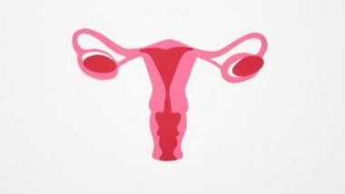 Promising Ovarian Cancer Treatment Proves Both Effective, Efficient: Study