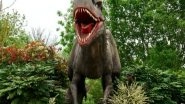 Dinosaurs Lived in Greenhouse Climate With Hot Summers, Study Shows