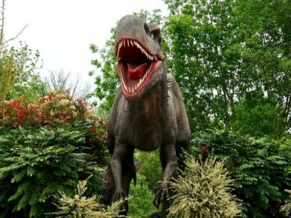Dinosaurs Lived in Greenhouse Climate With Hot Summers, Study Shows