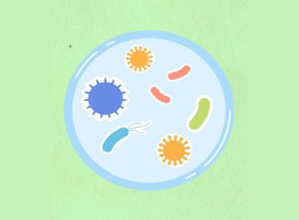 Deadly Strains of Antimicrobial-Resistant is Promoted By Global Travellers, Says Research
