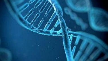 Science News | Study Finds New Gene That Might Increase Risk of ALS