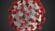 Science News | Engineering Nanobodies as Lifesavers when SARS-CoV-2 Variants Attack