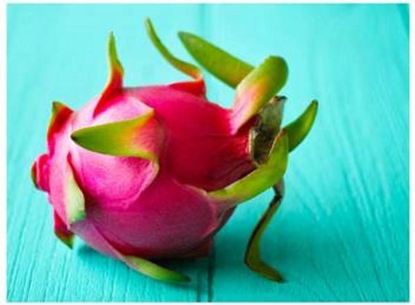 India News | Exotic Dragon Fruit 'Kamalam' from Maharashtra Exported to Dubai