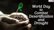 World Day to Combat Desertification and Drought 2021 Date and Theme: Know History and Significance of The Day That Focuses on Turning Degraded Land Into Health Land