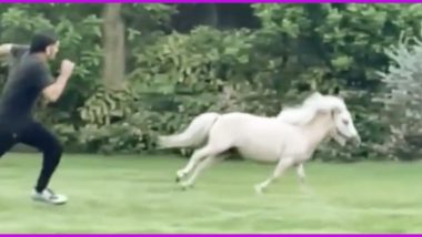 MS Dhoni's Wife Sakshi Shares a Fun Video of CSK Skipper Racing With Pony, Can You Guess Who Won The Race?