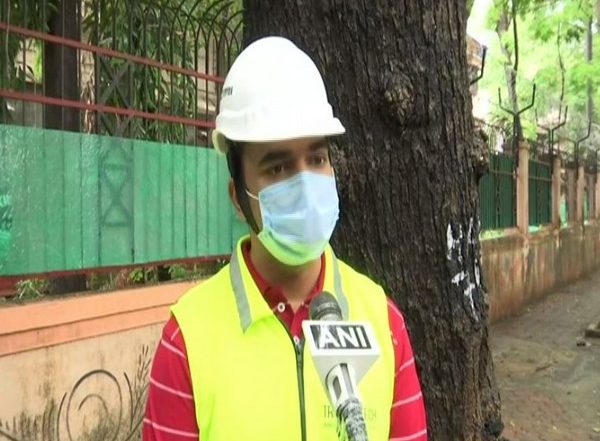 BMC Appoints Tree Surgeon in Mumbai to Protect Vulnerable Trees from Falling