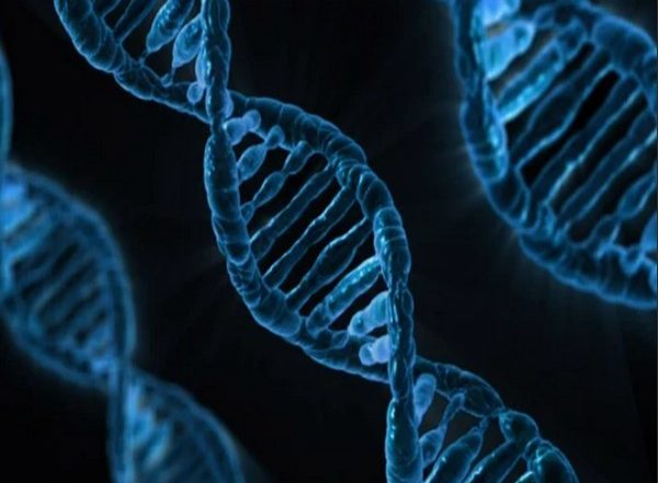 Researchers Discover Genetic Cause of Intellectual Disabilities, Neurodevelopmental Disorders
