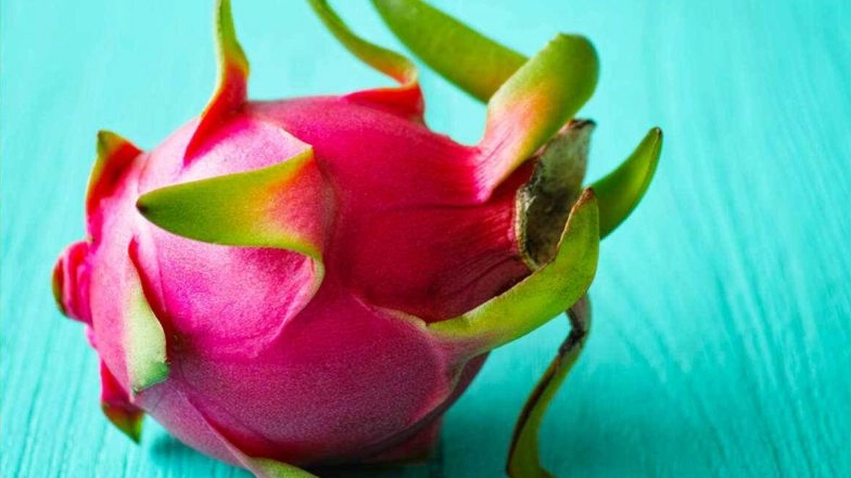 'Kamalam', Exotic Dragon Fruit Cultivated by Farmers of Maharashtra, Exported to Dubai