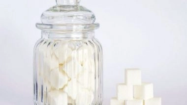 Health News | Researchers Find Health Benefits of Connecticut-grown Sugar Kelp