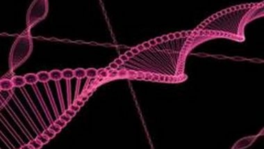 Science News | Researchers Find Algorithm to Better CRISPR Gene Editing